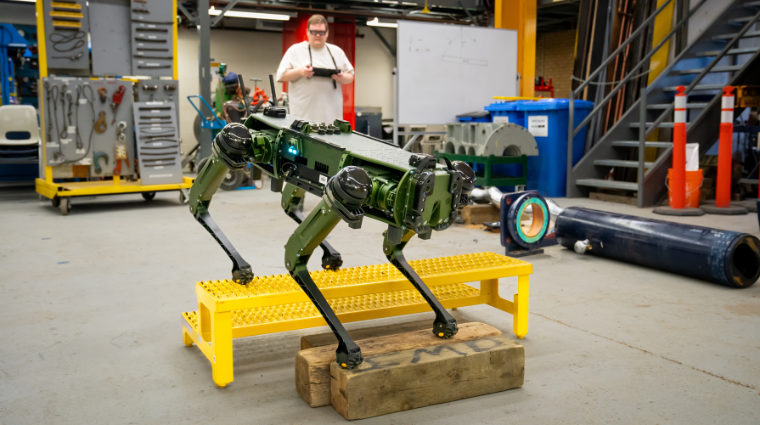 Robot dog